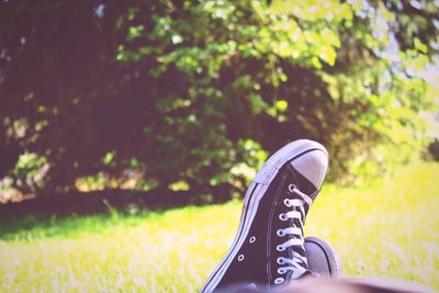 Low section of person wearing shoes on field