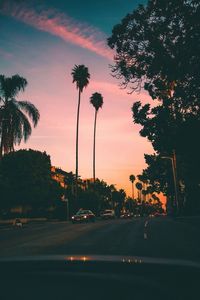 Silhouette trees by road against sky during sunset