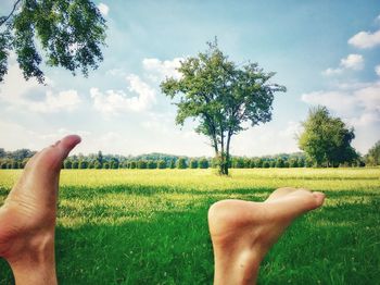 Cropped image of person hand on field against sky