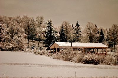House amidst trees on field against sky during winter