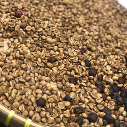 High angle view of coffee beans