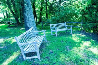 Empty bench in park