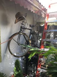 Bicycle parked by potted plant in city