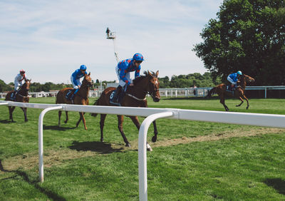 People riding horses on farm against sky