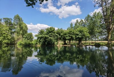 Scenic view of lake by trees against sky