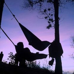 Silhouette trees against sky at sunset