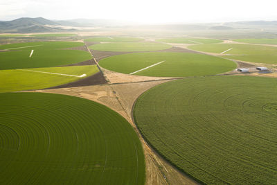 Green crop circles grow in a remove nevada desert