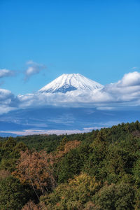 mountain