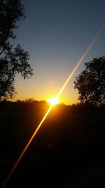 Sun shining through trees