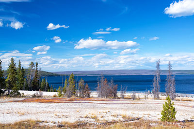 Scenic view of landscape by sea against blue sky during winter