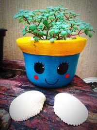 Close-up of potted plant on table