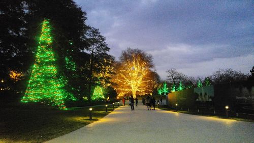 Illuminated christmas tree against sky at night