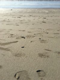 Close-up of footprints on sand at beach