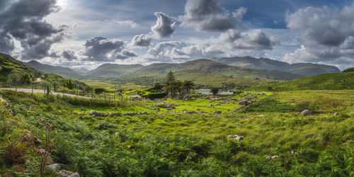 Panorama of beautiful molls gap, wild atlantic way, ring of kerry, ireland