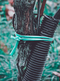 Close-up of machine part on tree trunk in field