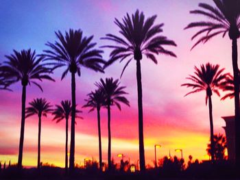 Silhouette of palm trees at sunset