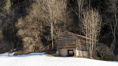 winter