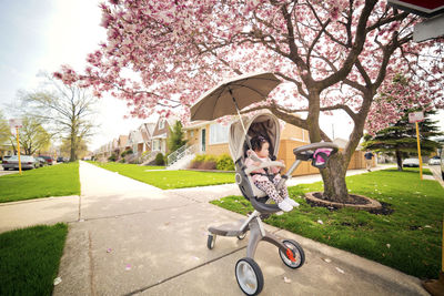 Baby sitting in stroller at sidewalk