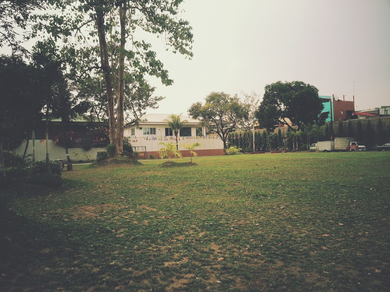 tree, building exterior, architecture, built structure, grass, clear sky, growth, house, field, nature, sky, day, park - man made space, lawn, outdoors, residential structure, green color, no people, residential building, plant