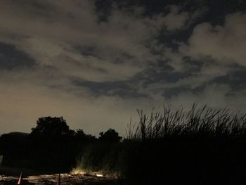 Silhouette trees on field against sky at sunset