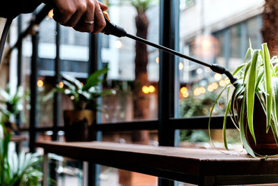 Man holding glass by plants on table