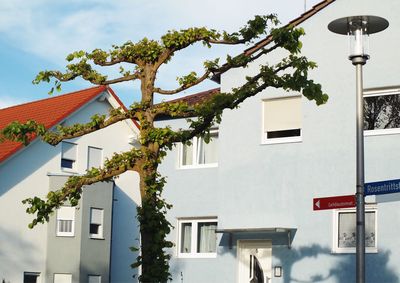 Houses against sky in city