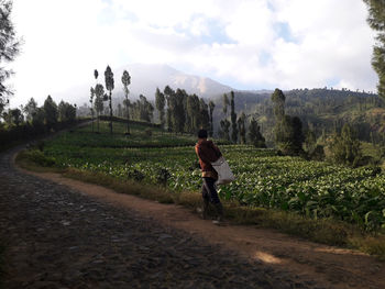 The spirit of gardening wonosobo indonesia