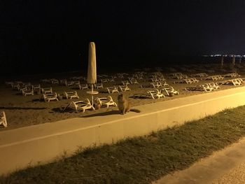 Scenic view of field against clear sky at night