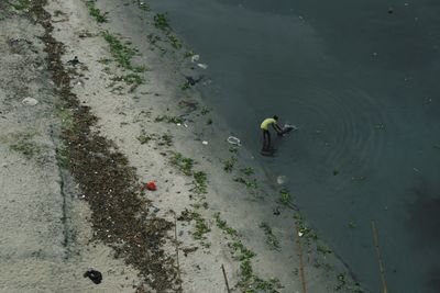 High angle view of duck swimming in lake