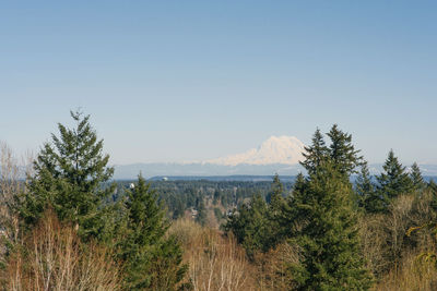 Beautiful landscape with a view of the rainier volcano from olympia