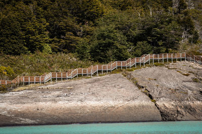 Scenic view of sea against trees