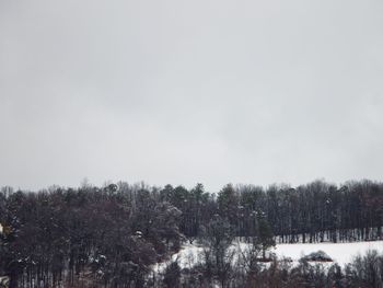 Trees on snow covered land against sky