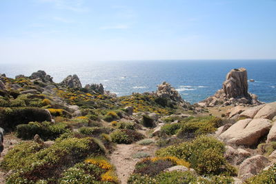 Scenic view of sea against sky