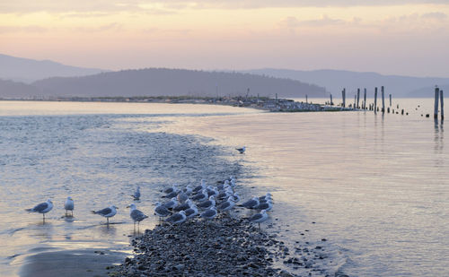 Scenic view of lake against sky during sunset