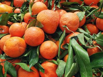 Full frame shot of orange fruits in market for sale