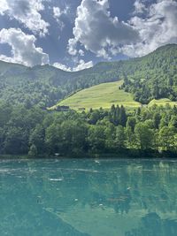 nature