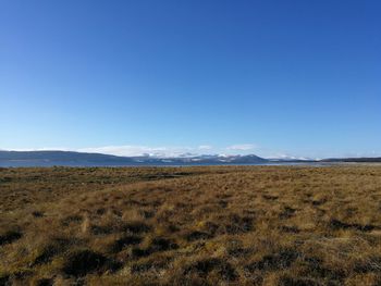 Scenic view of landscape against clear blue sky