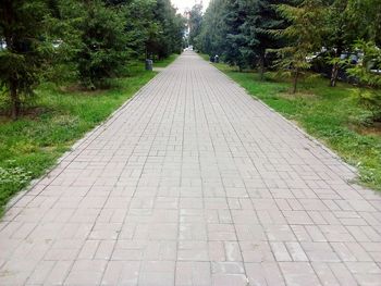 Footpath in park