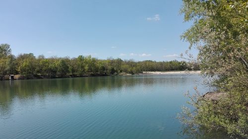 Reflection of trees in lake