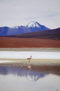 Scenic view of lake by mountains against sky