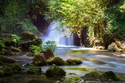 Scenic view of waterfall in forest