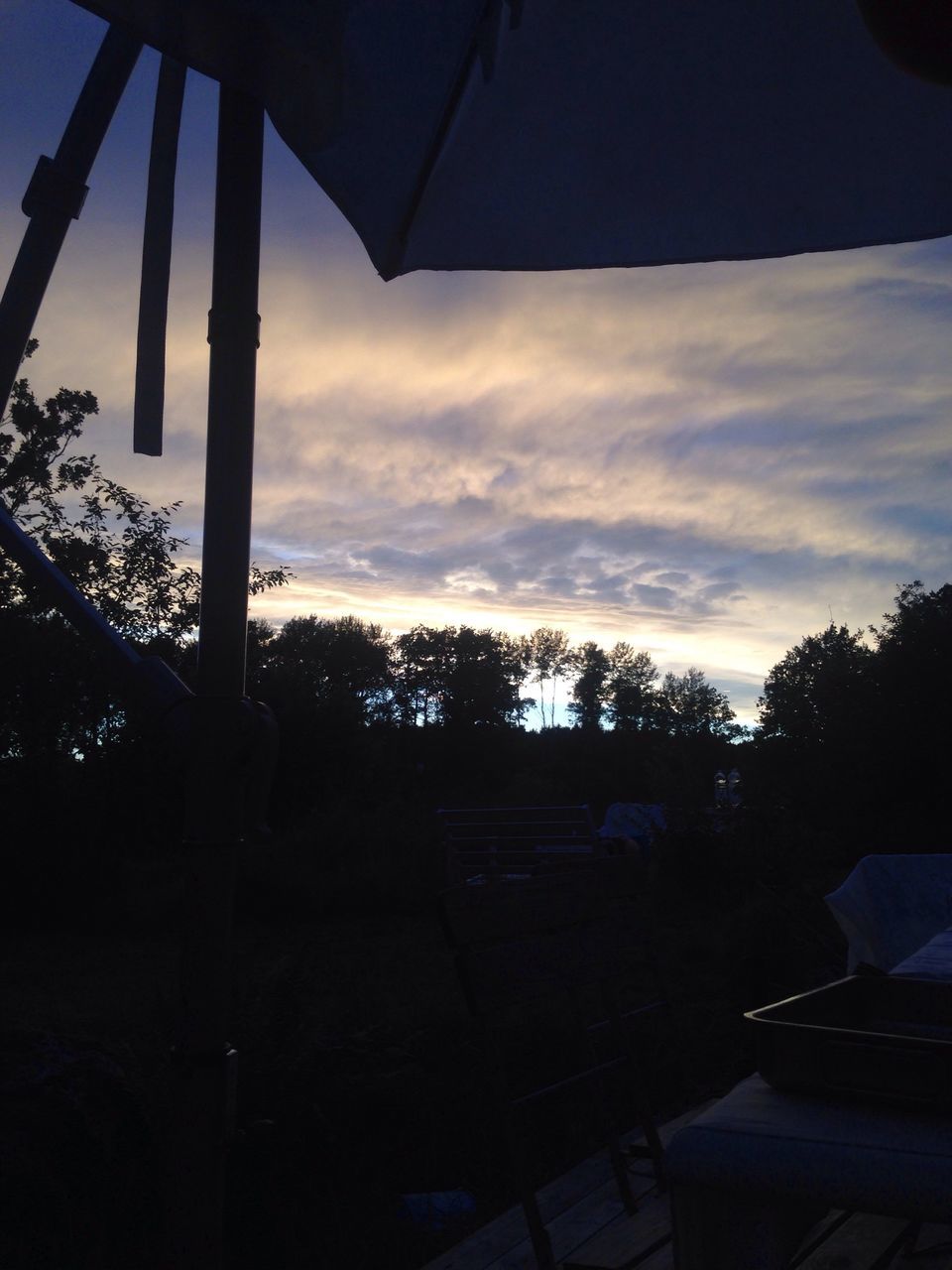 SILHOUETTE OF TREES AGAINST SKY