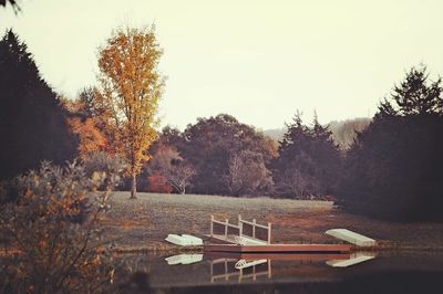 Scenic view of trees against sky