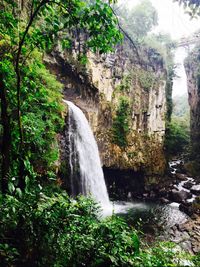 View of waterfall in forest