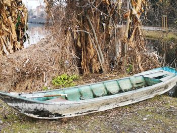 Abandoned boats on field by trees in forest