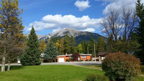 Trees and mountains against sky