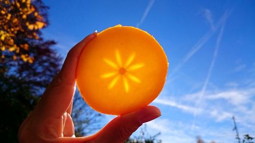 Person holding apple against orange sky