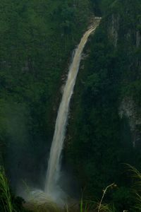 View of waterfall in forest