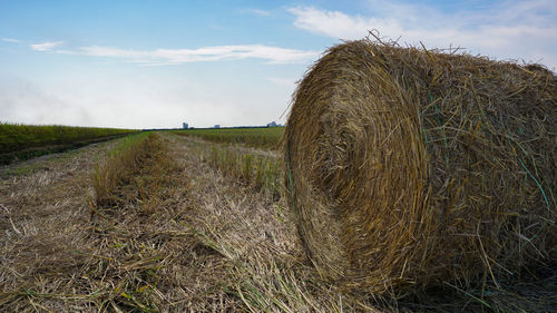 Hay bales on field against sky