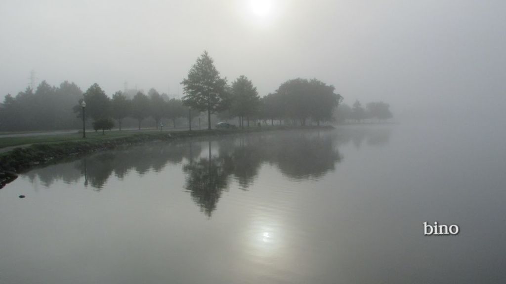 mist, fog, water, reflection, morning, tree, lake, tranquility, nature, plant, beauty in nature, tranquil scene, sky, scenics - nature, no people, dawn, haze, sun, environment, outdoors, landscape, non-urban scene, sunlight, idyllic